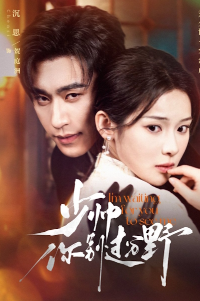 Маршал, не будь таким диким / The Fiery Young Marshal / Shao Shuai Ni Bie Guo Fen Ye